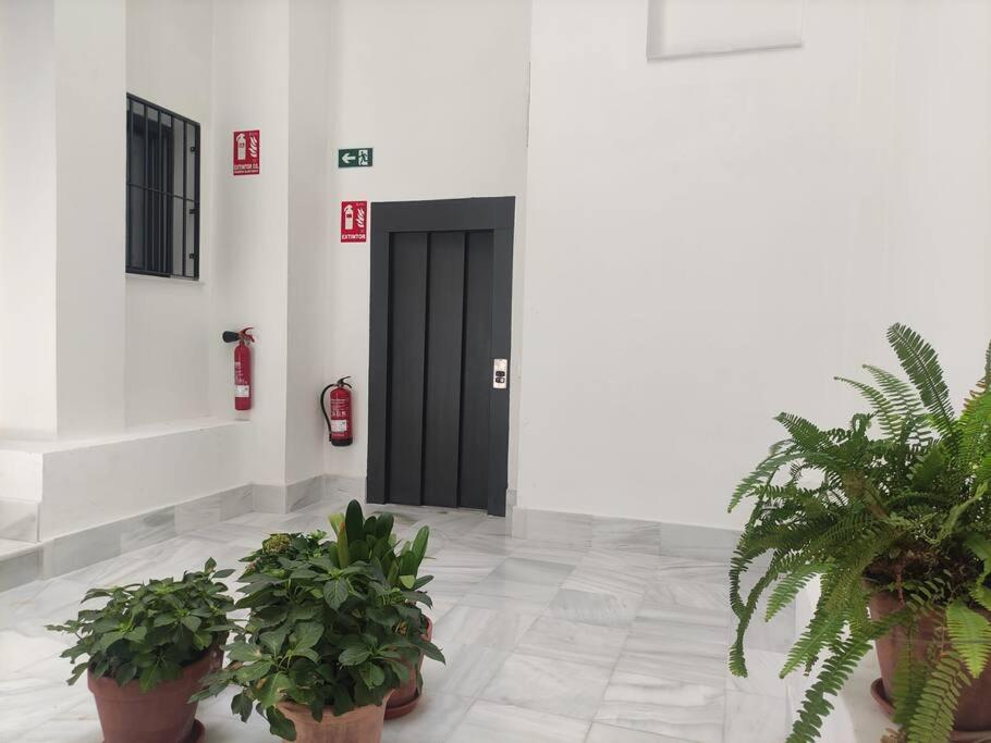 Calm & Design Suite Севилья Экстерьер фото